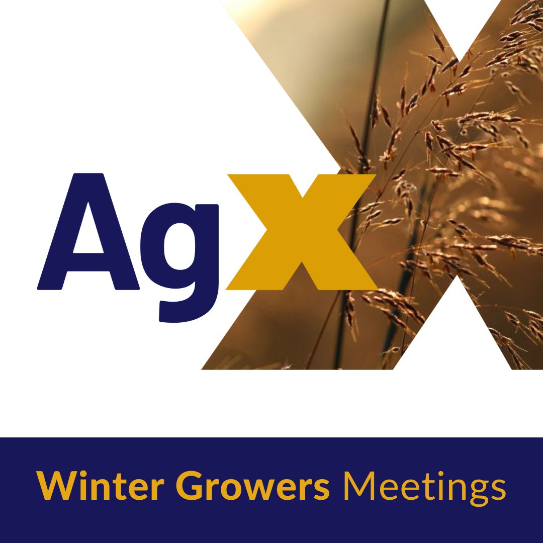 In November, we have several local winter growers' meetings. For more information, please visit our events page at agrovista.co.uk/events.