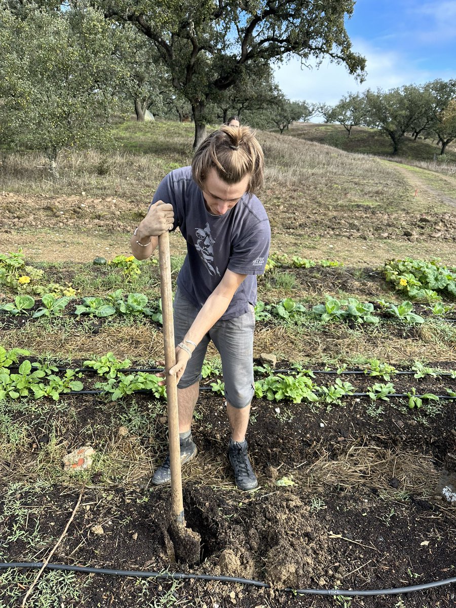 sodofi_'s tweet photo. planting trees &amp; making new regen frens 🫡🌳

happy #refiweek https://t.co/pA0faika14