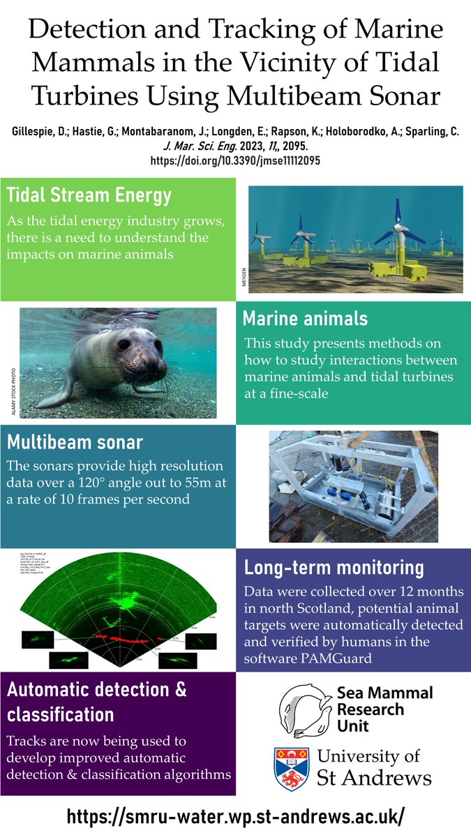 How can you study fine scale interactions between #marinemammals and #tidalenergy ?? Check out our new paper doi.org/10.3390/jmse11… which is another output of our longstanding collaboration with @MeyGenUK @saerenewables and @ScotGovMarine Also with funding from @NERCscience