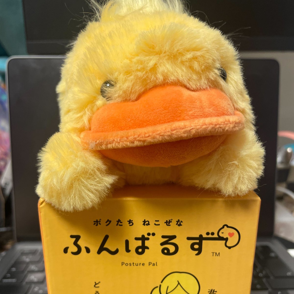 test_komanechi's tweet photo. 画像3枚テスト https://t.co/Y45Akmcnh7