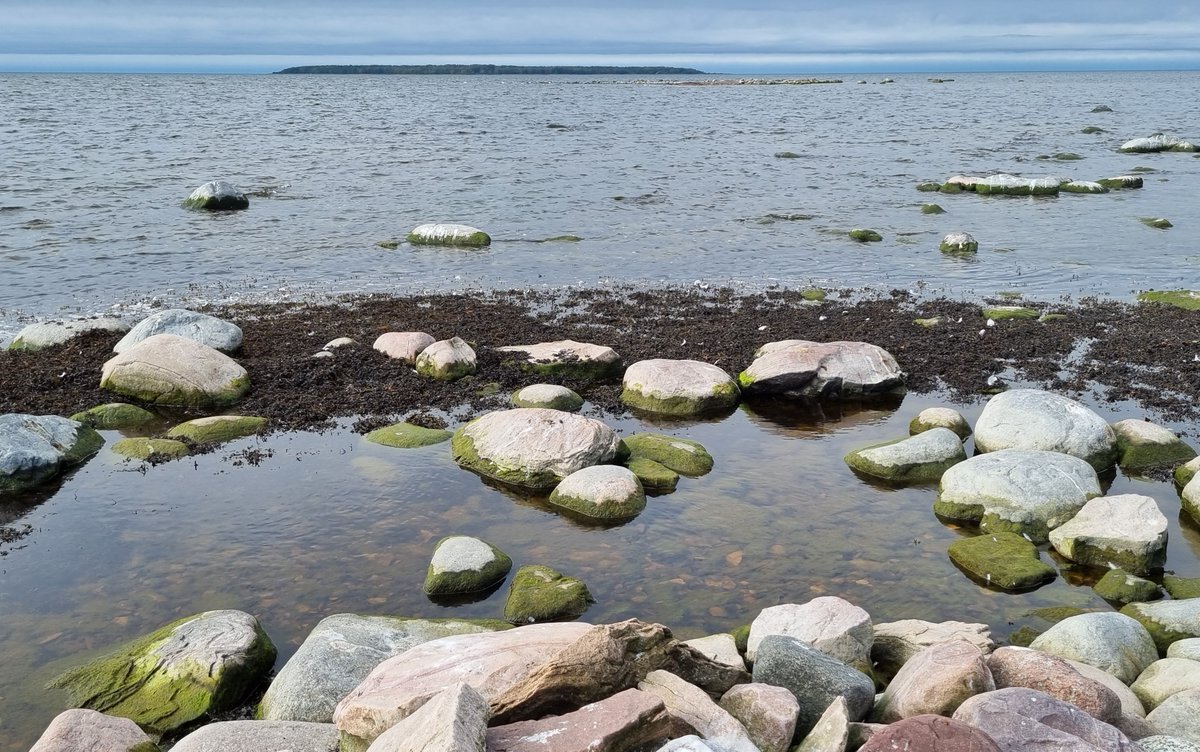 MSP_FIN's tweet photo. Millaisena näet merituulivoimarakentamisen mahdollisuudet ja uhat?

Vastaa saaristo- ja rannikkoväestölle kohdennettuun kyselyyn 20.11. mennessä ja vaikuta Suomen #merialuesuunnittelu'un ja merialuesuunnitelman päivittämiseen. @yministerio 
https://t.co/4h4bI2AMQp https://t.co/w10F6RcBaq