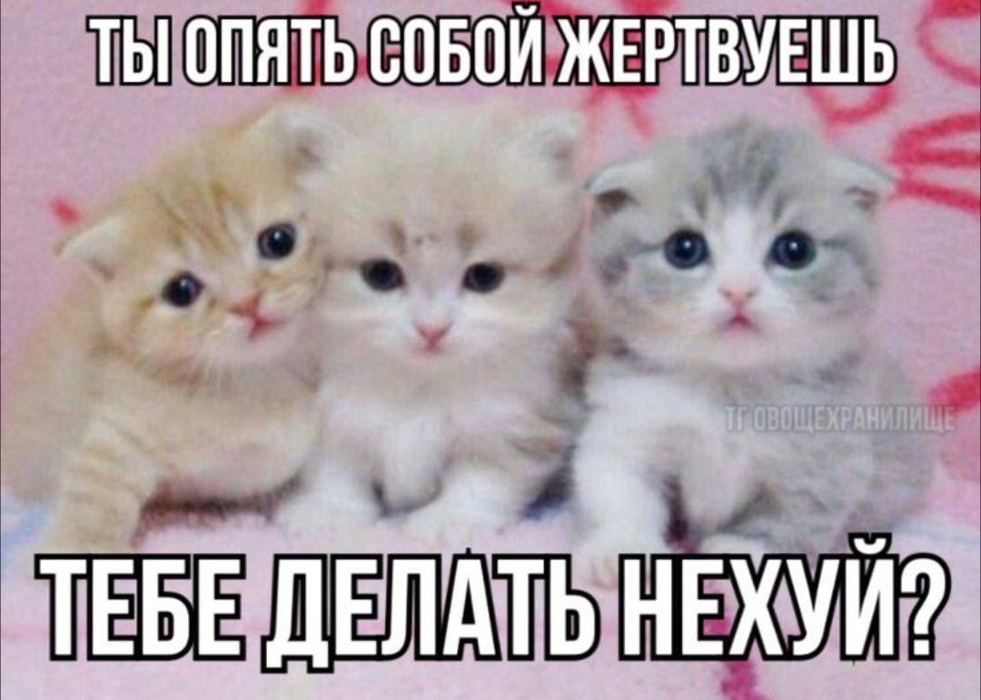 TKudryash's tweet photo. сегодня год моему аккаунту в Геншине https://t.co/CJu1wPHDjn