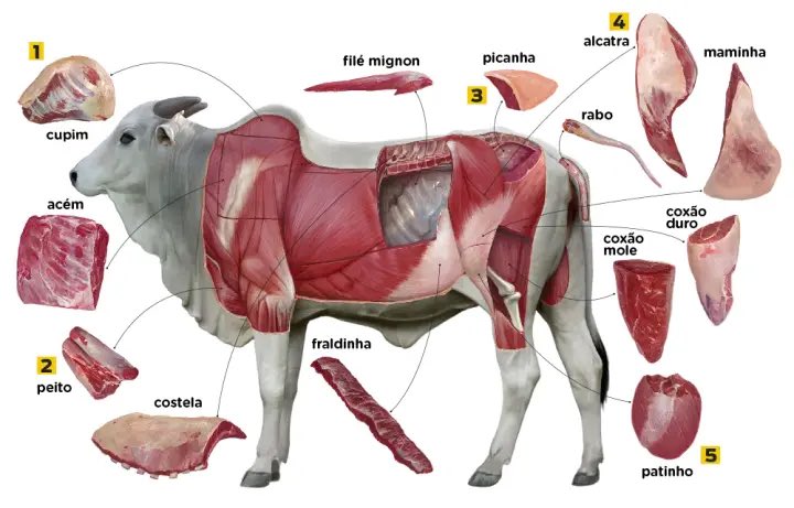 iRockPT's tweet photo. @carnivoremax @texican_1836 No. It’s not udder. It comes from the back leg part (round in english?). I usually buy it at cut it like picanha or larger cuts. The fattier the better! https://t.co/HuVO3NIebL