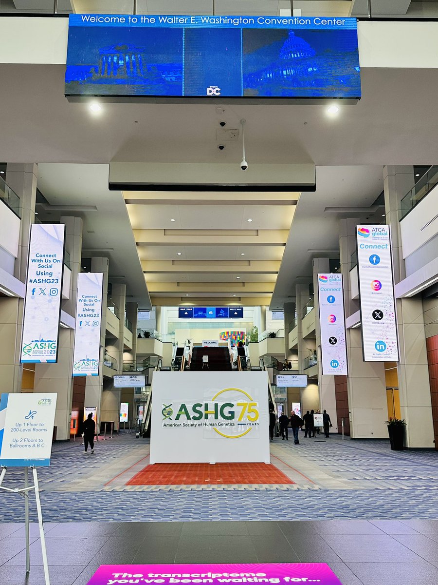 bunielloA's tweet photo. I am ready for #ASHG2023! Come by my poster (PB4506) to talk about how @OpenTargets uses genetics to facilitate identification of new drug targets &amp; our ongoing work to streamline our Open Targets Genetics pipelines! https://t.co/JBcq8tq8g0