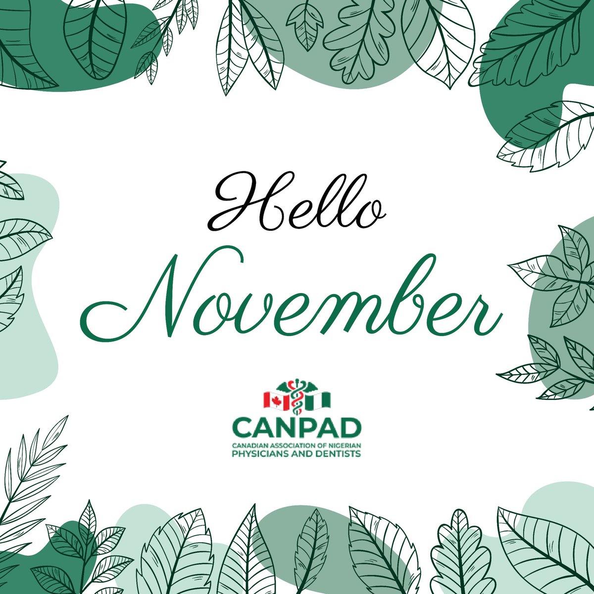 Hello everyone!!!

Hope you have a great November!!!

#good vibes #goodmorning #November1st