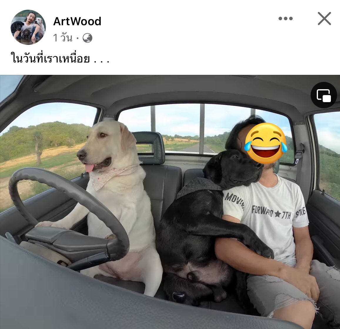 ป้าข้างบ้าน: อายุจนป่านนี้ทำไมถึงไม่คิดมีลูกมีหลาน แก่ไปใครจะพาแกไปหาหมอ

Me :   นี่ไงป้า