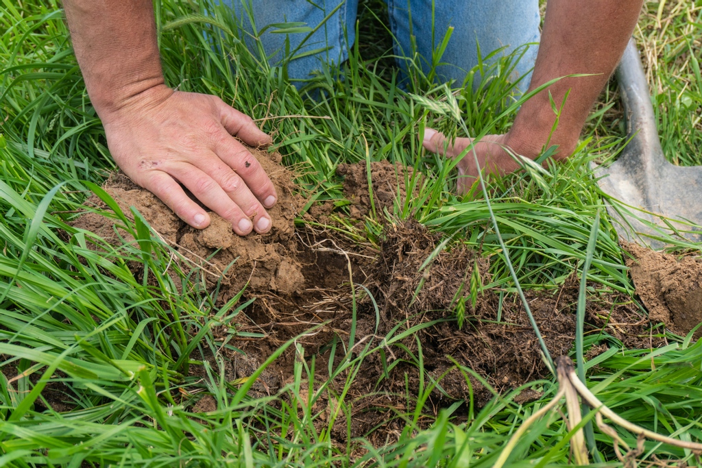 _NatGLC's tweet image. Grazing lands promote healthy soils, which play a crucial role in agriculture. Healthy soils mean better crop yields and a more resilient agricultural sector. 🌾🌿