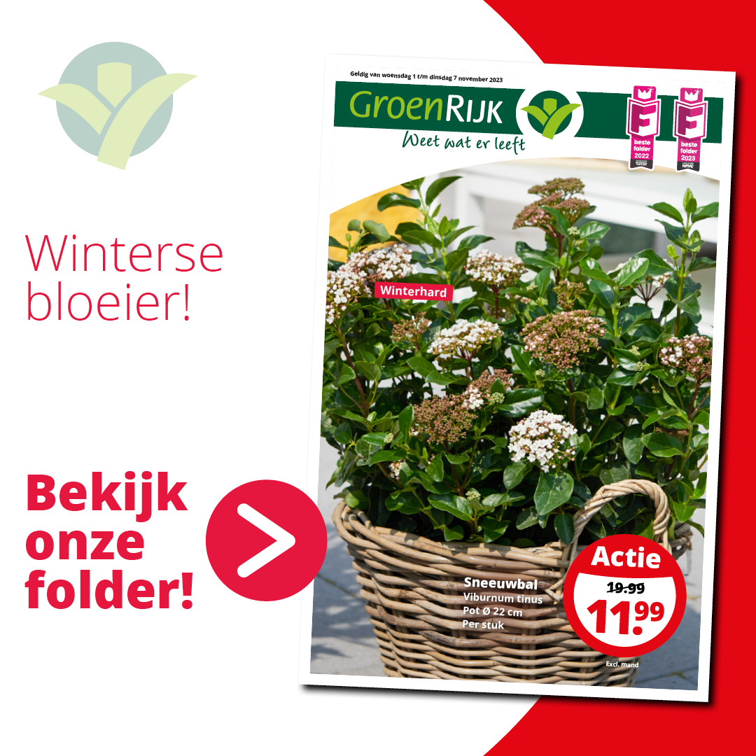 Heb je onze nieuwe GroenRijk-folder al gezien? Neem even de tijd om de pagina's door te bladeren en ontdek prachtige winterbloeiers. Je kunt de folder direct bekijken via deze link: ow.ly/chBy50Q1ZST

#GroenRijk #korting #actie  #sale #aanbieding #Vibernum #sneeuwbal