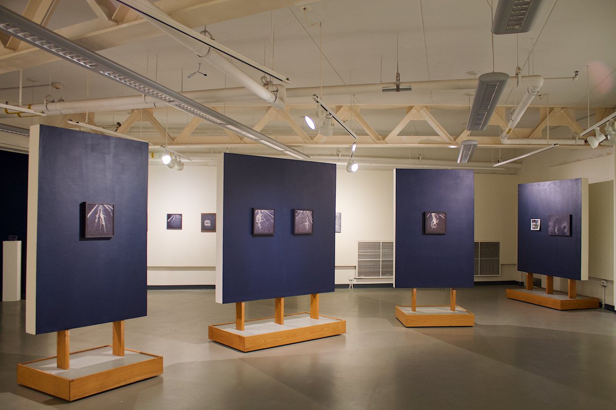 JudsonU's tweet photo. Stop by the Draewell Gallery in HAWAC to see Parkside Drive South, Gregory Schreck’s Photography! Make sure you get the chance to see it before it closes on  November 17!!

#JudsonAwesome #JudsonU #JudsonUniversity #HAWAC #DraewellGallery #Photography #ExploreElgin https://t.co/lBZgQ9iA5o