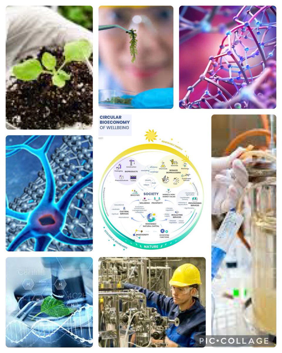 MPGeorgeFreeman's tweet photo. As we establish our new #EngBio Program, 🙏LionelClarkeCBE & ProfDickKitney of @imperialcollege on their leadership of the #EBLC over last 11 yrs.
We will continue to work with:
👩🏽🔬researchers
🏃🏿entrepreneurs
🏭businesses
🌆investors
⭕️regulators https://t.co/5fycjOkH2A