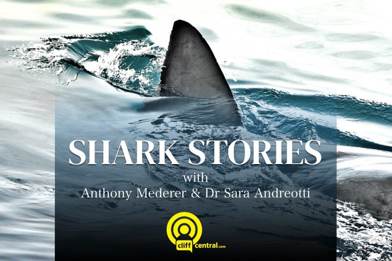 The Real Network tweet media