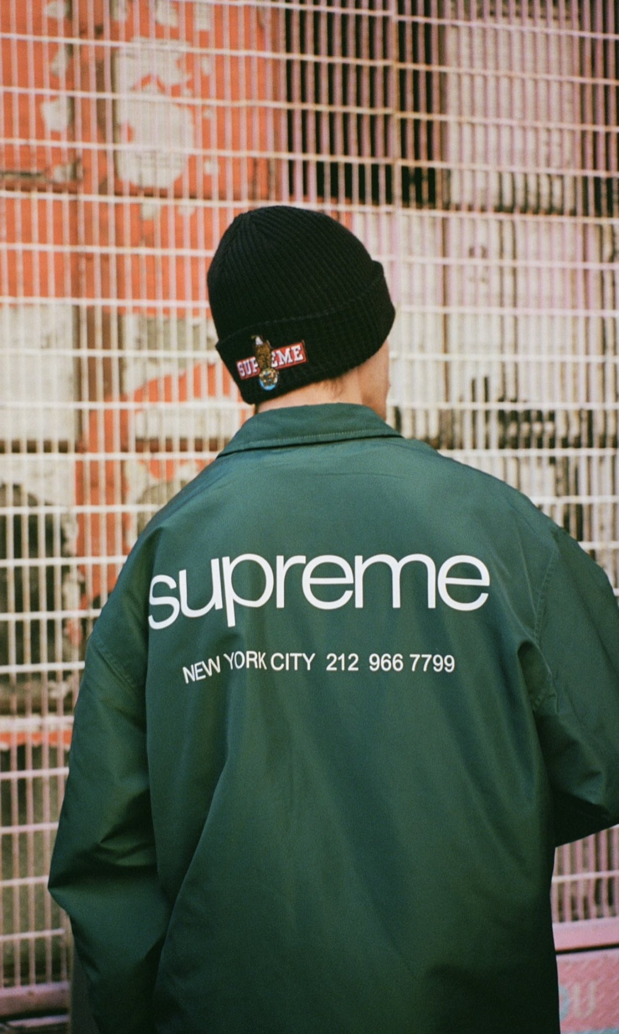 オンラインストア-通販 Supreme Nyc Coaches Jacket Green | artfive.co.jp