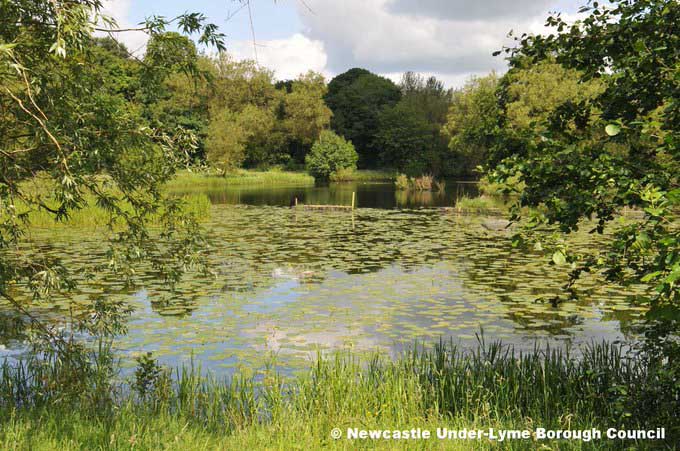 NE_WestMids's tweet photo. Spending time in #Nature can help us when feeling Stressed.

We have some great #LocalNatureReserves to enjoy on  #NationalStressAwarenssDay 

Discover one near you at: https://t.co/EefOwqLplb

#ConnectingWithNature #BetterWiithNature #Stress #MentlaHealth @mentalhealth https://t.co/5IgO4wU3vs