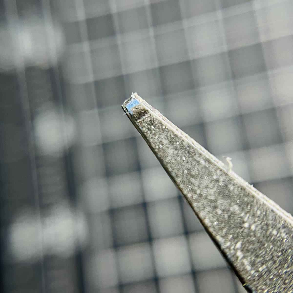 penny_1x's tweet image. #CSヤスリ 
#GUNPRIMER

#sandloop には不向きで厳しい条件だったかな→早々に剥がれてきた

原因は、砥面クリーニングに使う水ﾋﾀﾋﾀメラミンスポンジかな💦
→紙がふやける😅
でもﾋﾀﾋﾀにした方が砥面に優しく粉も舞わずだから…

この使い方ならCSヤスリ１択と。
ﾒﾓﾒﾓ _φ(･_･