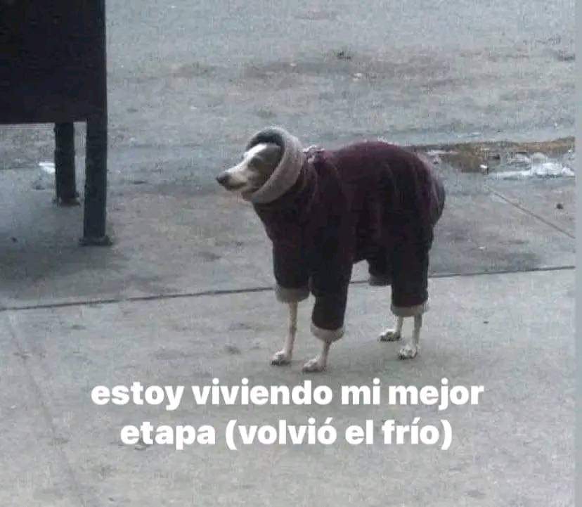 carmeliiru's tweet image. Buenos días 🙌🏽✨  #PoderosoTieneFrío