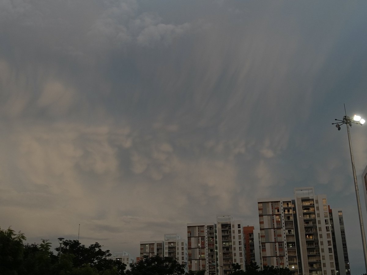 priyamrao's tweet photo. Spotted some mammas this evening in the Chennai skies ๐ #mammatusclouds @ChennaiRains #cloudsoftwitter https://t.co/oYbUAYZRoa