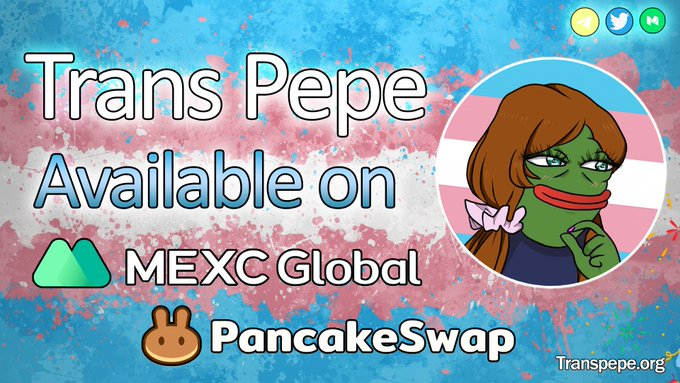 Transspepe's tweet photo. Trans Pepe 🐸🏳️‍⚧️

TransPepe is an innovative crypto meme project that aims to empower and support the transgender community.

Trans Pepe Is Available On:
@MEXC_Official &amp; @PancakeSwap

🏳️‍⚧️https://t.co/kUvLZdnjan 
🏳️‍⚧️https://t.co/X6YsuVdrbO 

#TransPepe #swap #Crypto #P2E https://t.co/tYvjF3iycB