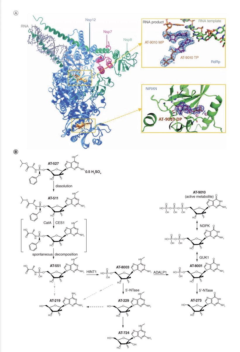 Les comparto nuestra más reciente publicación, enfocado al desarrollo de un nuevo antiviral anti-SARS-CoV2. Mucho esfuerzo detrás de este trabajo.

futuremedicine.com/doi/epub/10.22…