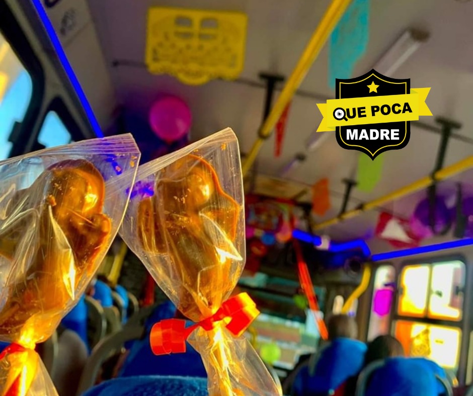 QuePocaMadre_Mx's tweet image. 💀‼️PEQUEÑOS DETALLES‼️🕯🚍 YA CASÍ ES DÍA DE MUERTOS Y ESTE CHÓFER DEL #ValleDeToluca LO SABE🥰

🔴#ReporteCiudadano

🗣Un #chófer de transporte público les hizo el día a su pasaje, regalándoles paletas y dulces a bordo de su unidad decorada de día de muertos.