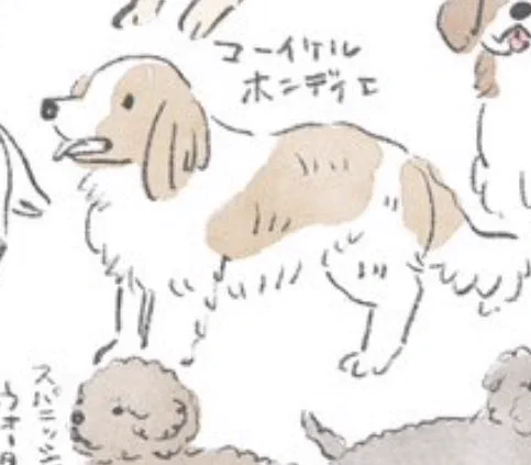 @phdv7Ydp6 ちょっと字が汚くて申し訳ないのですが…!
いました!2枚目右下です! 