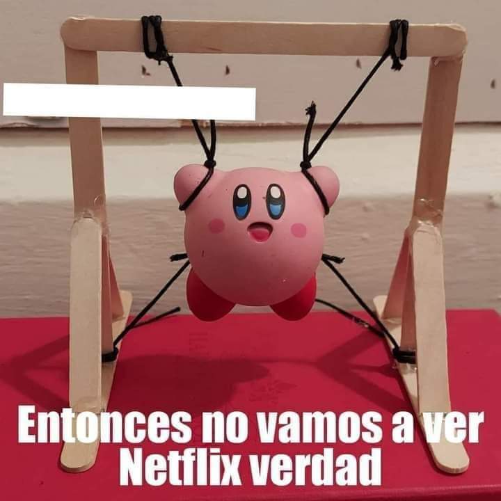 Doña Momera (@memespitudos) on Twitter photo 