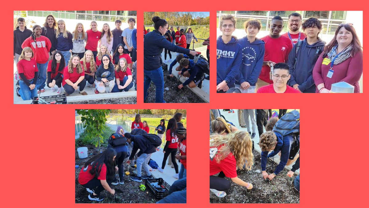 Last week during Red Ribbon Week, we planted 100 tulip bulbs. The tulips will bloom in April and will remind us of our Red Ribbon Week Pledge. They will be a symbol of the beauty of a drug free life!