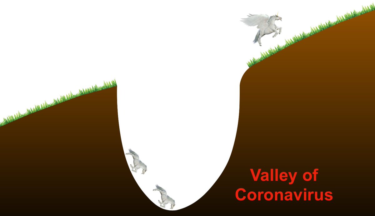 Peter Yang tweet media