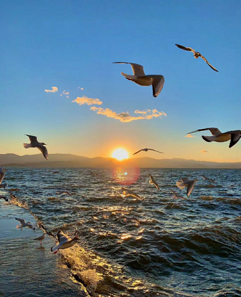 No matter how long the night is, dawn will always come. Come on, this November you.