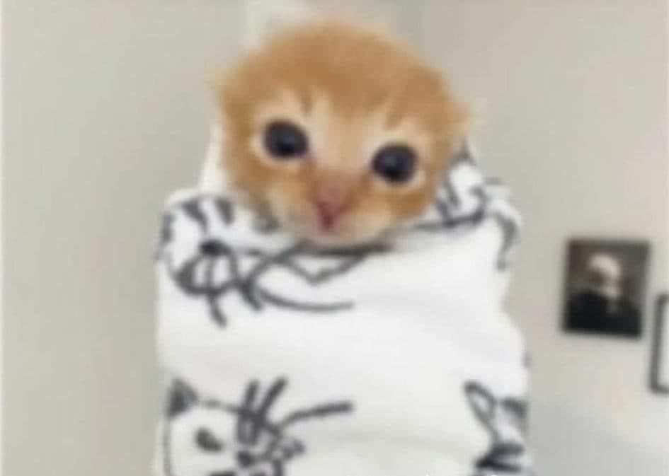 Aarondavid_10's tweet image. Qué frío hace colega #poderosotienefrio