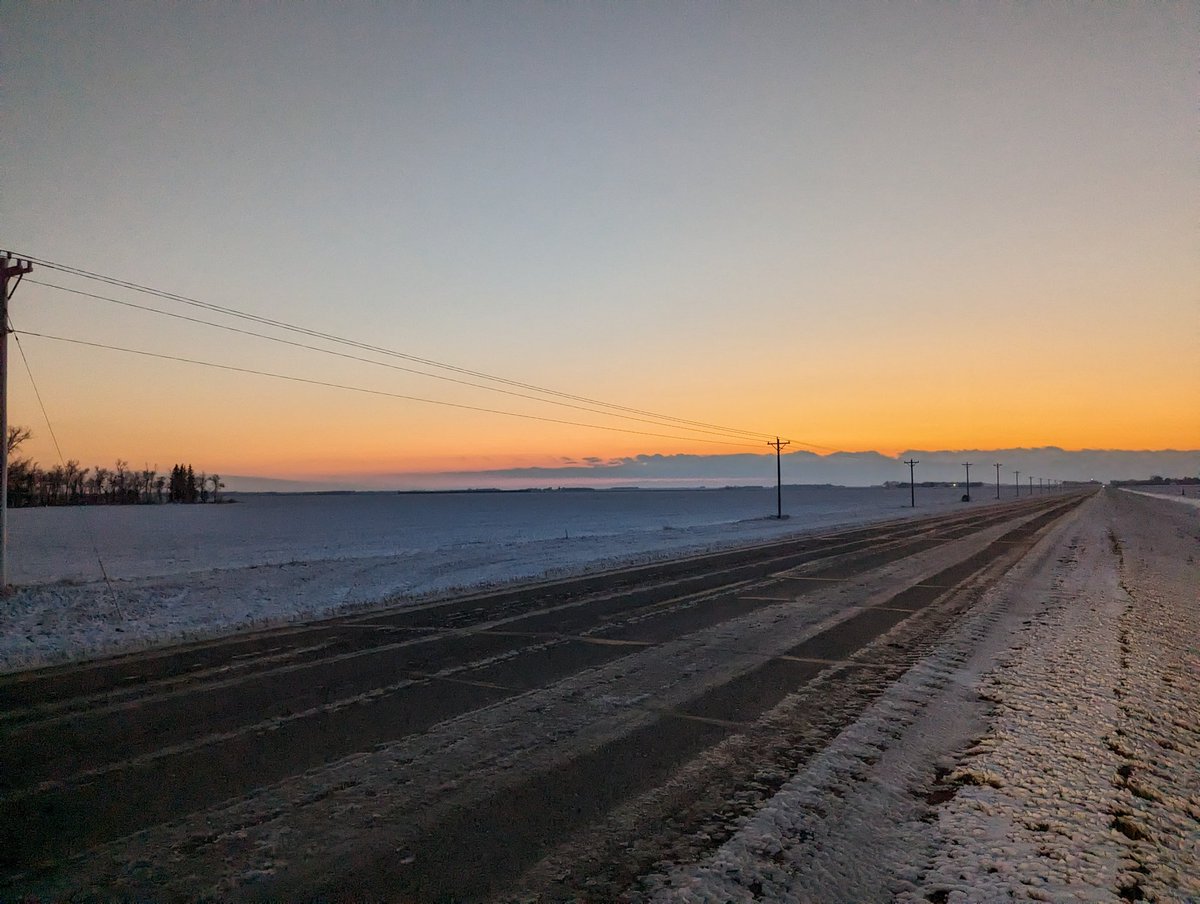 Homegrown (Embodied) J tweet media