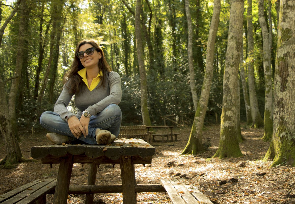 MKB Cursus & Training tweet media