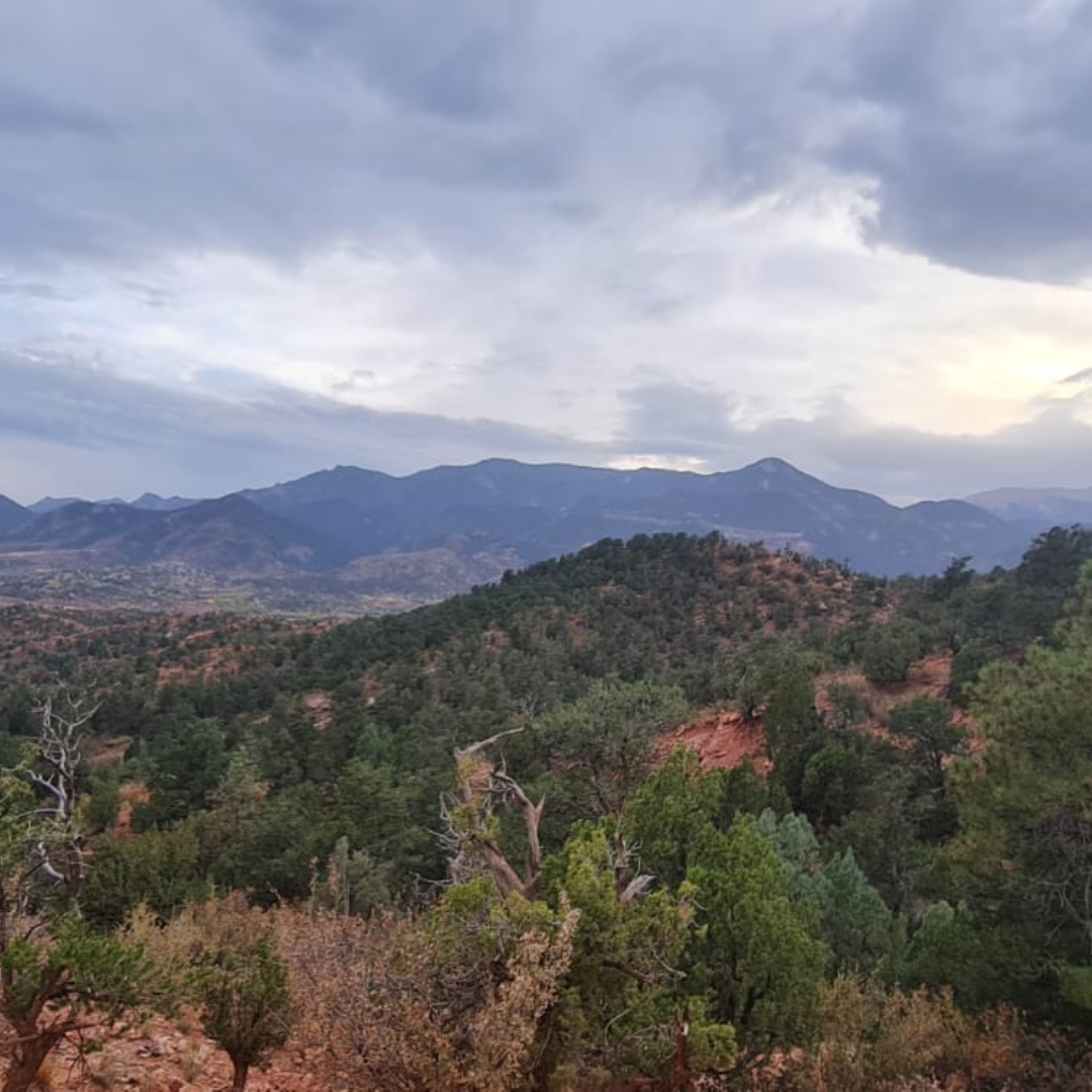 AWTechnologyLtd's tweet photo. Our team had a wonderful visit to the beautiful state of Colorado, installing a 3100 Tunnel and servicing a 2800 Tunnel at Kidde (@Kidde).

The breathtaking Rockies were a stunning backdrop to our successful visit. 

#AWTechnology #Kidde #FireSafety #Innovation #Colorado https://t.co/259C4Ryw5a