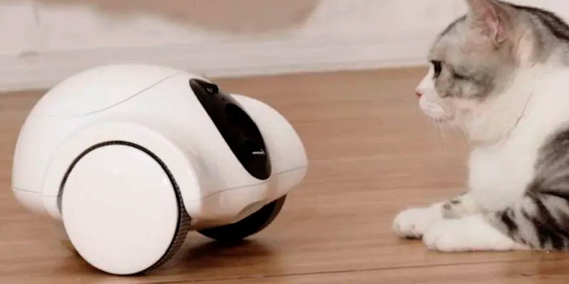 SAGA_Robotics's tweet image. Компания Guliguli выпустила домашнего робота Hiibo, с помощью которого можно наблюдать за питомцем и играть с ним. #Guliguli #домашнийробот #Hiibo

Подробнее: bit.ly/3sm7Db9