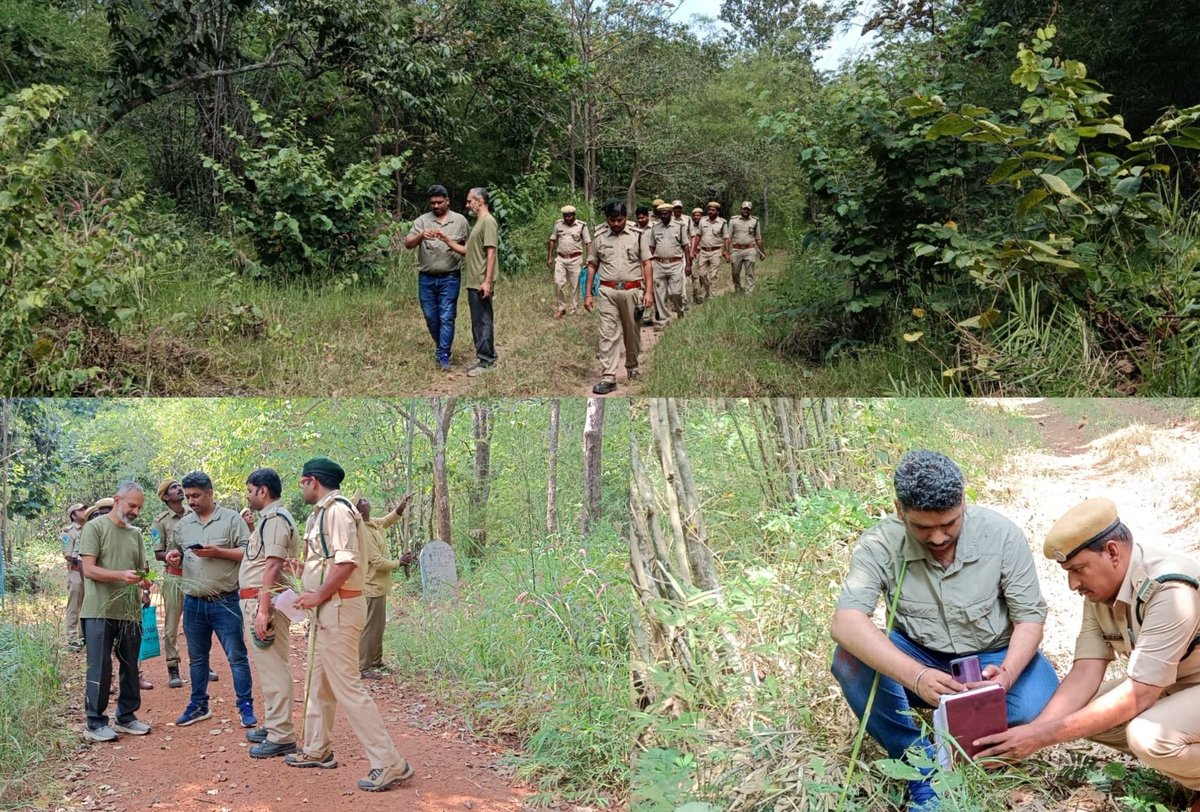 #1stGrassSurveyInNallamala We conducted two days workshop & survey program on 'Grass identification and Grassland Management' in #GundlaBrahmeswaramSanctuary first time. Grass expert @machanifs sir gave training to forest staff & more than 50 species of grasses were identified.