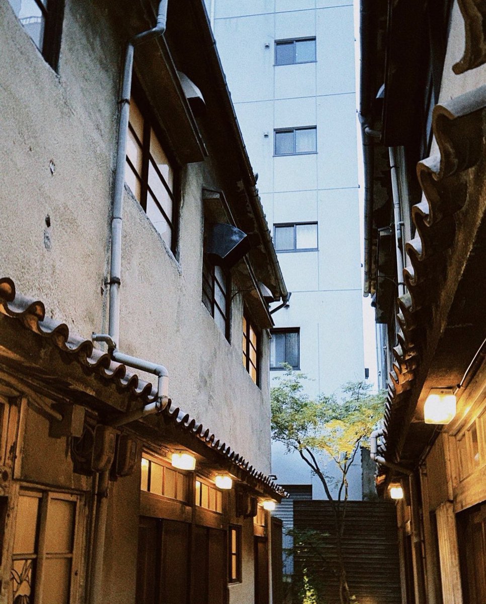 may you be the happiest person in the world , meow bless you ♥️🍀