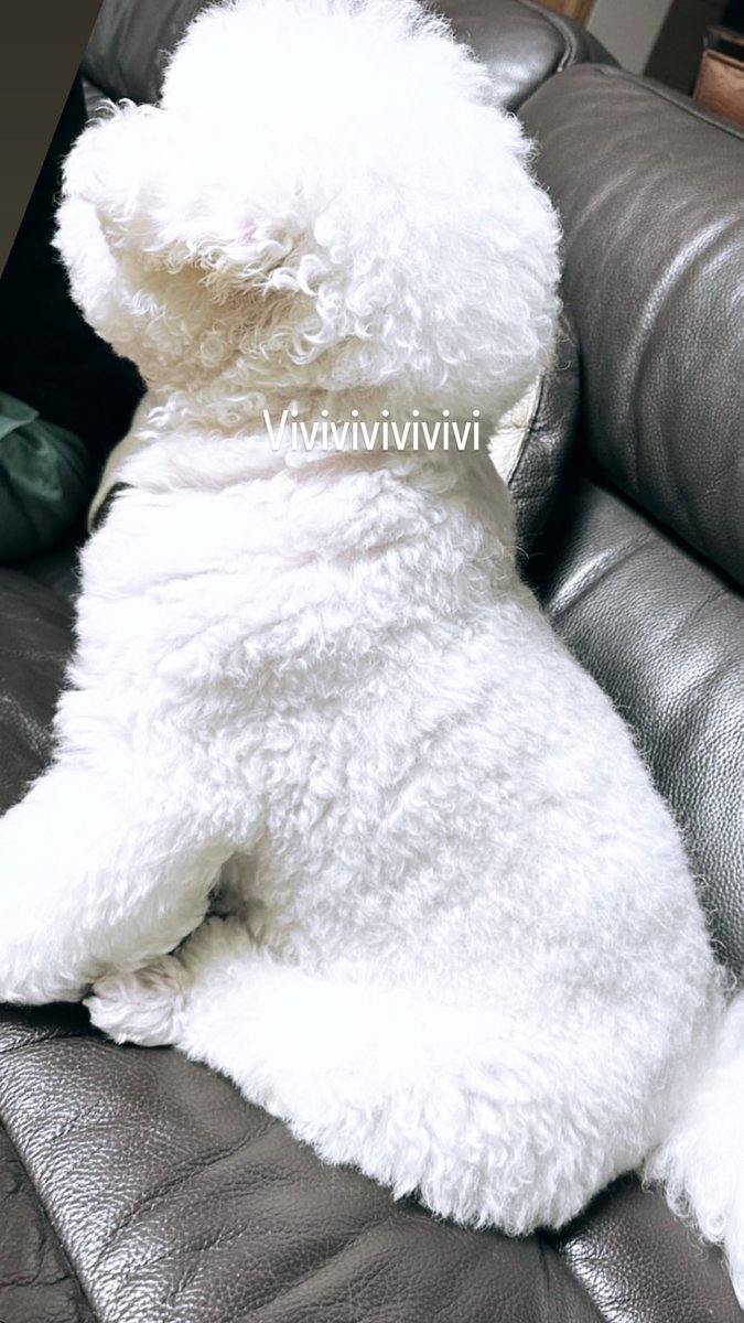 milkteus's tweet photo. 231101 sehun instagram story update with vivi 📸✨

“Vivivivivivivi” https://t.co/8XUB4fl9Fi