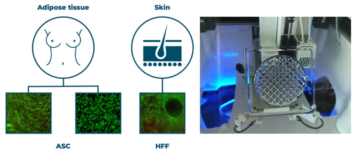 josbaema's tweet photo. 🔬🧬Protocol for 3D printing of EASYGEL INX© scaffolds for tissue engineering🦾
https://t.co/wgNrooiPW0
⛓️Related: @REGEMAT3D #REG4Life working protocol inside a biological cabinet
https://t.co/lA69CbXtZA
https://t.co/1GZ53xvSmC
#bioprinting #bioinks https://t.co/FR5HySWtMI
