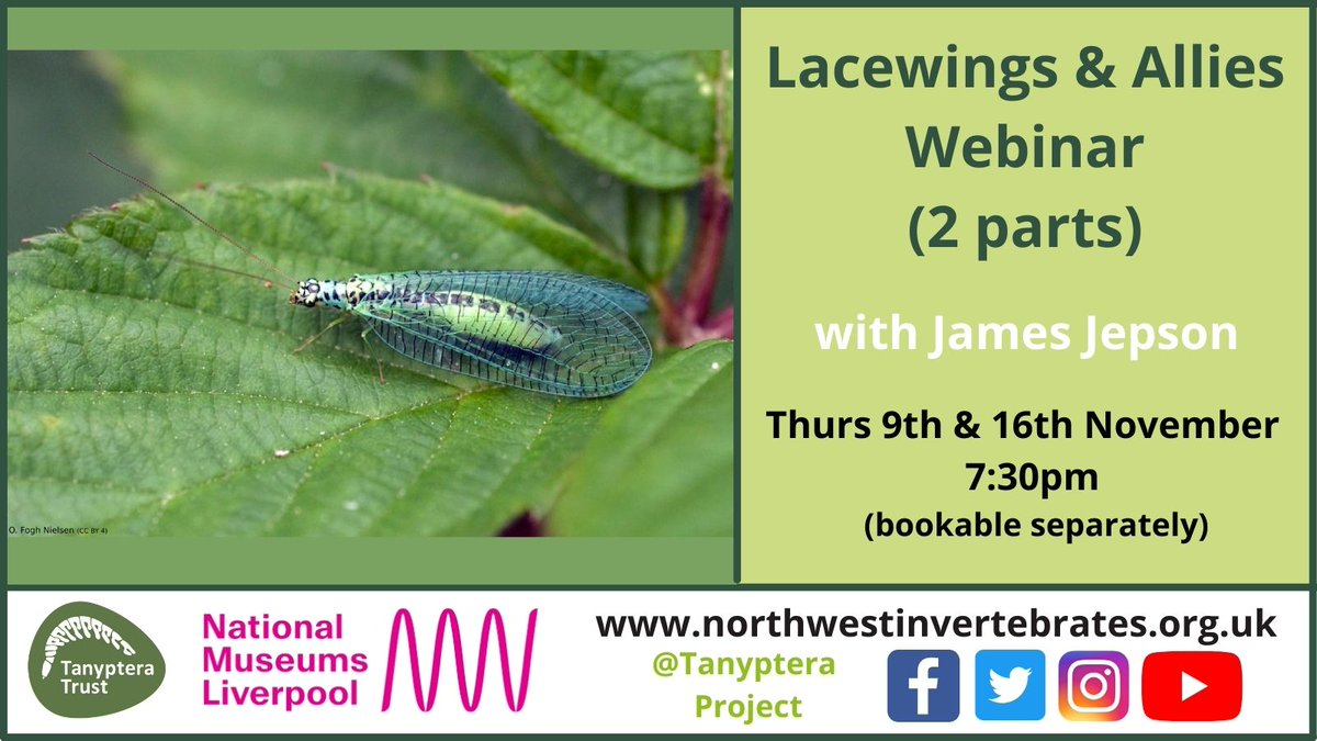 tanyptera's tweet photo. Join us next week for part one of our Lacewings &amp; Allies Webinar with James Jepson🔎

Book your place here: https://t.co/HKypst5n5y https://t.co/kXymIjt9Zq