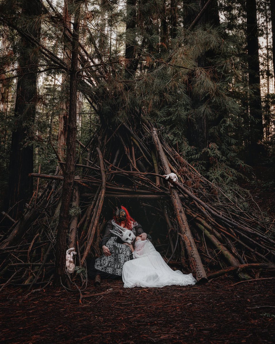 Halloween has passed, so now we rest... until the summer solstice allows us to rise again.

#magicforest #seehighcountry #beechworth #sonyalphaanz #creativeedit #woodlandcreatures #witcheshut #visitvictoria #victoriashighcountry #sleepynow