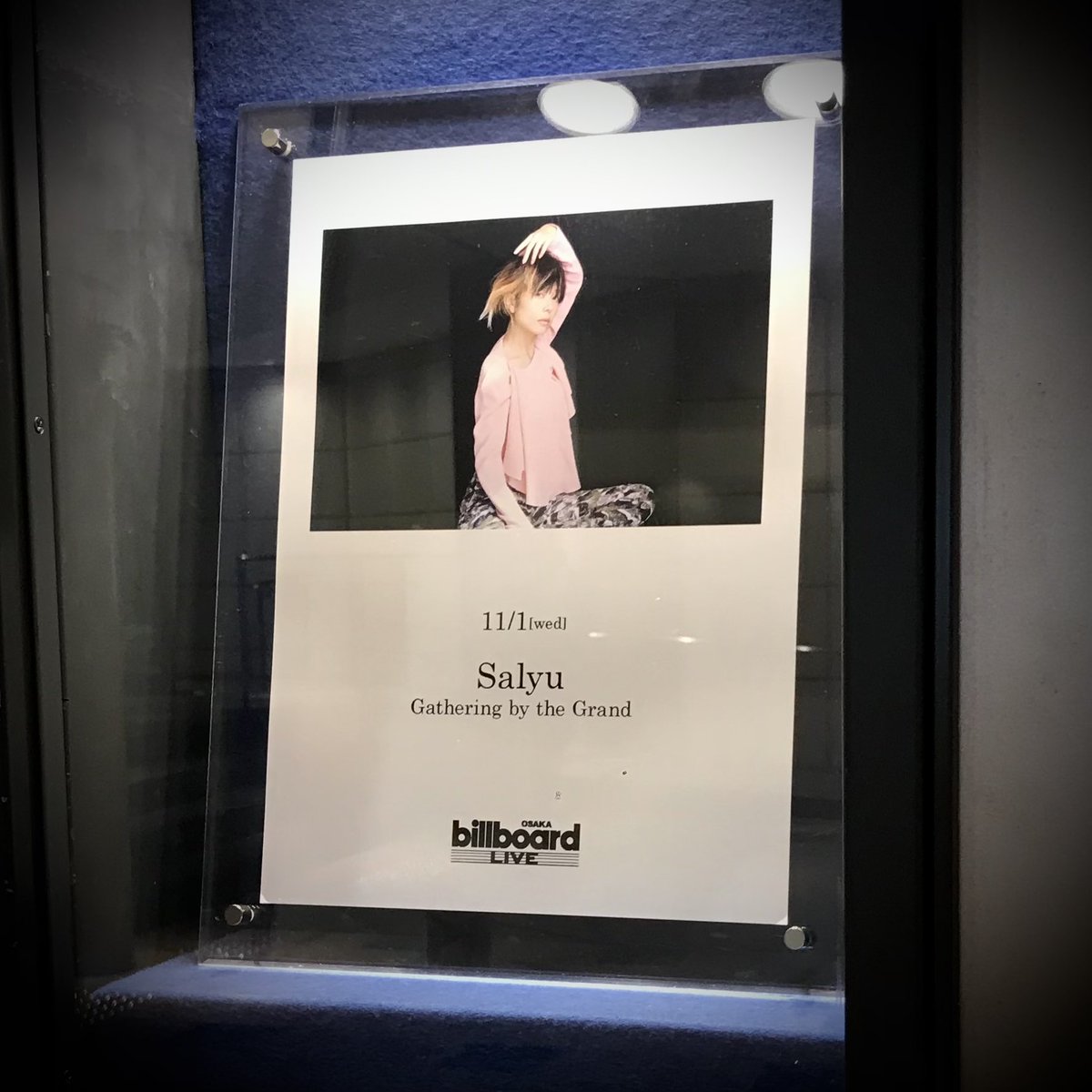 b_cometclub's tweet photo. 安定の左サイド #Salyu #bblo https://t.co/BeTvkfmjQS