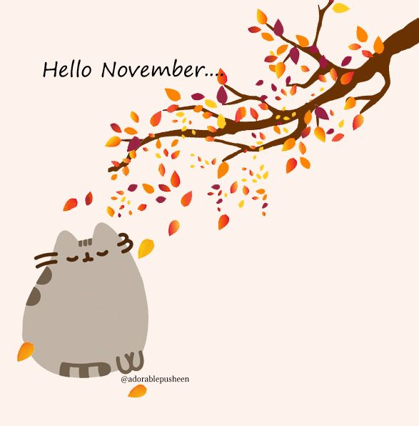 Goodbye October, Hello November! It's my favourite time of year. 🍂🍂