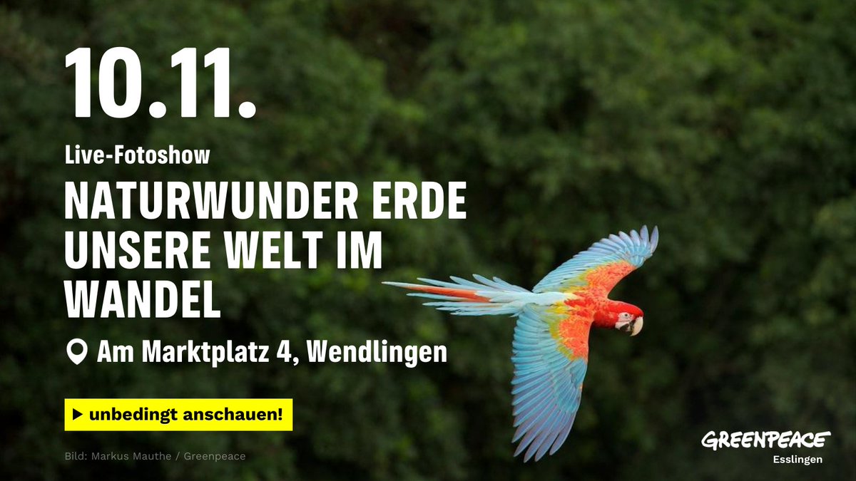 🌈 Live-Fotoshow „Naturwunder Erde – Unsere Welt im Wandel“, die Fotoshow von Markus Mauthe live präsentiert von Geert Schroeder 📍 Treffpunkt Stadtmitte in 73240 Wendlingen, Am Marktplatz 4 am 10 November 2023 19:30 🦋
😍 es würde uns sehr freuen Dich dort zu sehen 👋