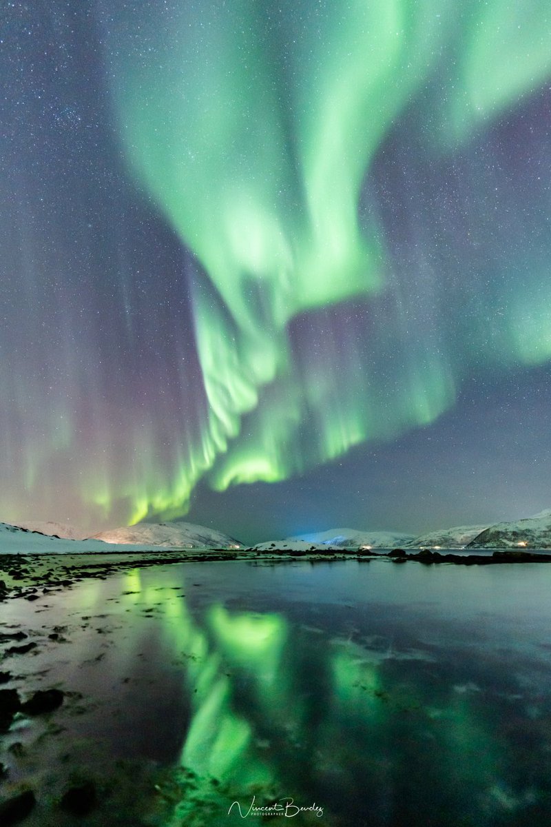 earthcurated's tweet photo. Senja, Norway ✨ https://t.co/LXqLnqVvYk