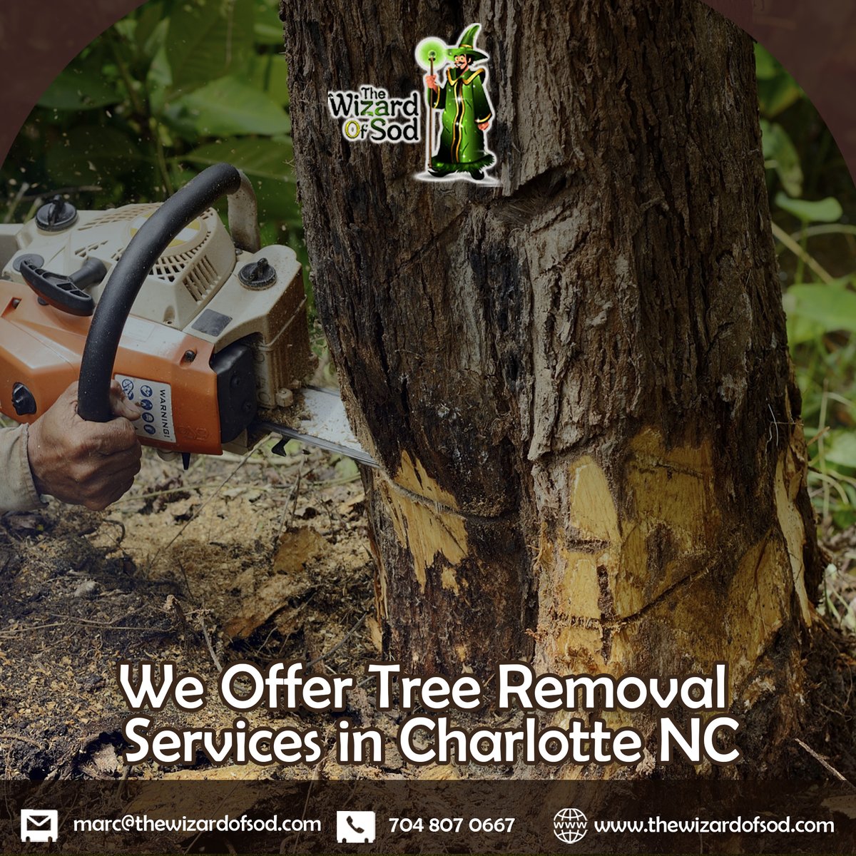 WizardSod's tweet photo. Give us a Ring for tree removal services, 📞 𝟕𝟎𝟒-𝟖𝟎𝟕-𝟎𝟔𝟔𝟕

#treeremoval #services #charlotte #northcarolina #queencity #huntersville #matthews #thewizardofsod #SmallBusiness #businessinnorthcarolina https://t.co/Hb9qCvAd2a