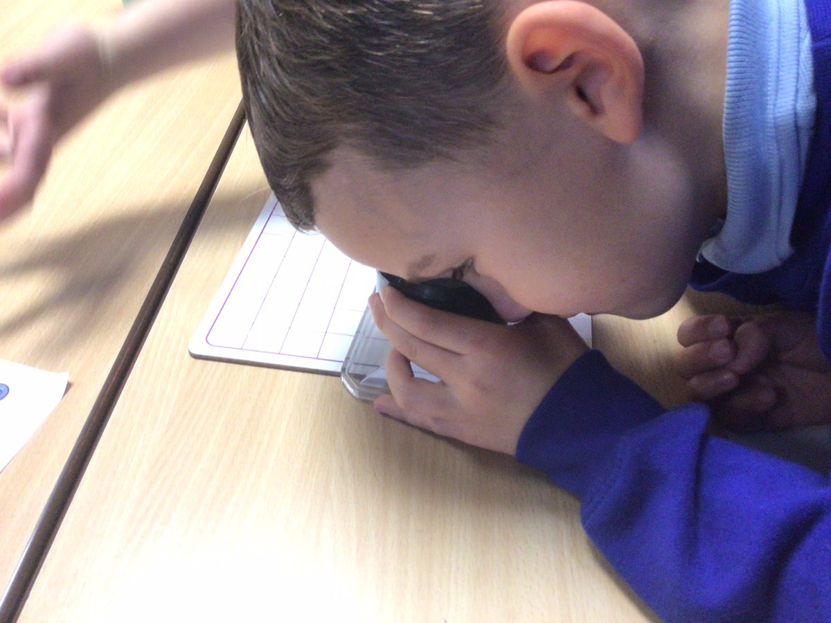Y2Woodley's tweet photo. We have been observing some interesting things in our science lessons using a magnifying glass. ASK ME: what does the word ‘observing’ mean? https://t.co/0gMXYSlpki