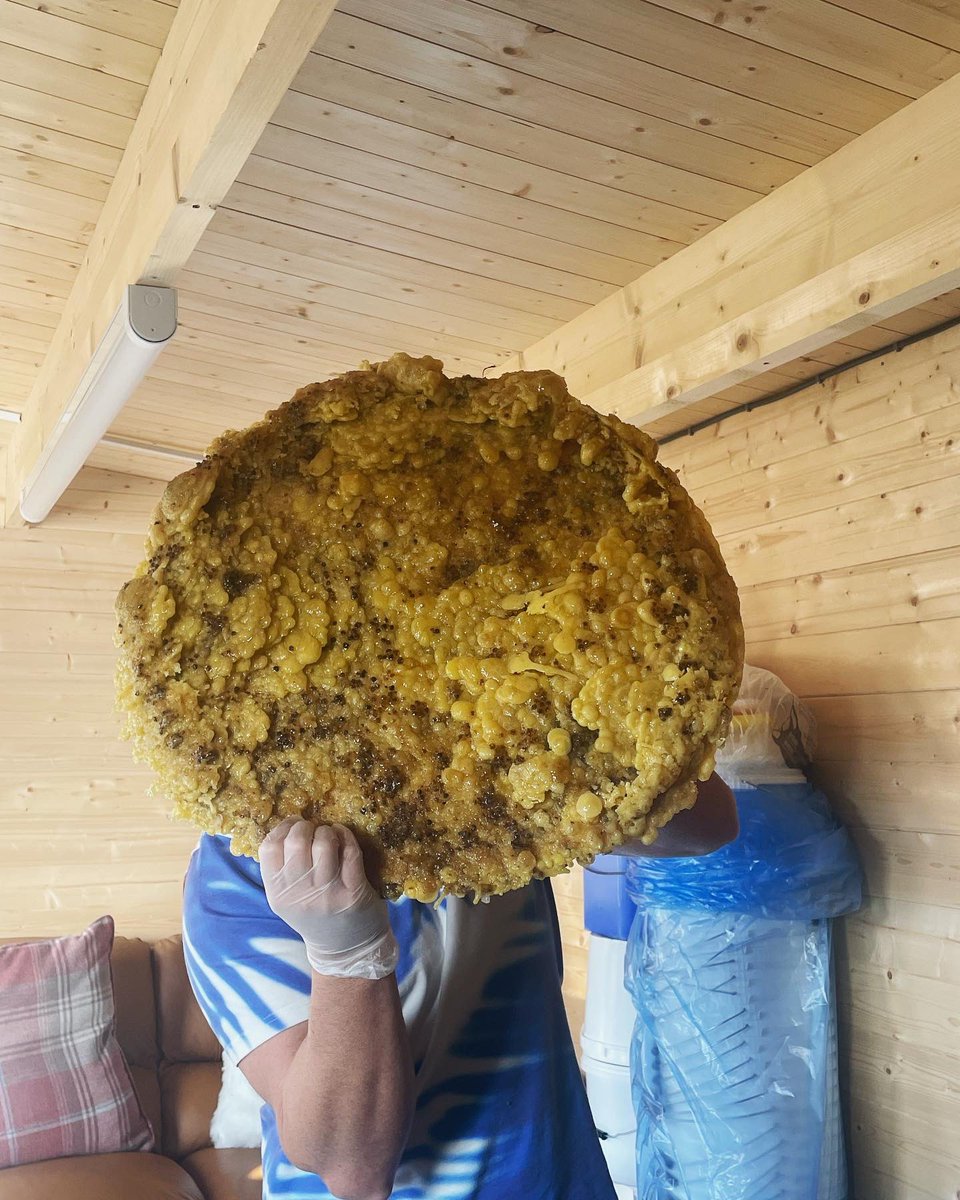 tonyrefailapiar's tweet photo. Happy Wednesday ๐ more beeswax for our Christmas ๐ candles.
#beeswax #beeswaxcandles #wax #bees #honey #natural #honeyscent #cottonwick #beekeeping #beeswaxcandlemaking #wednesday #tonyrefail_apiary #smalllocalbusiness https://t.co/IWK1NyQShE