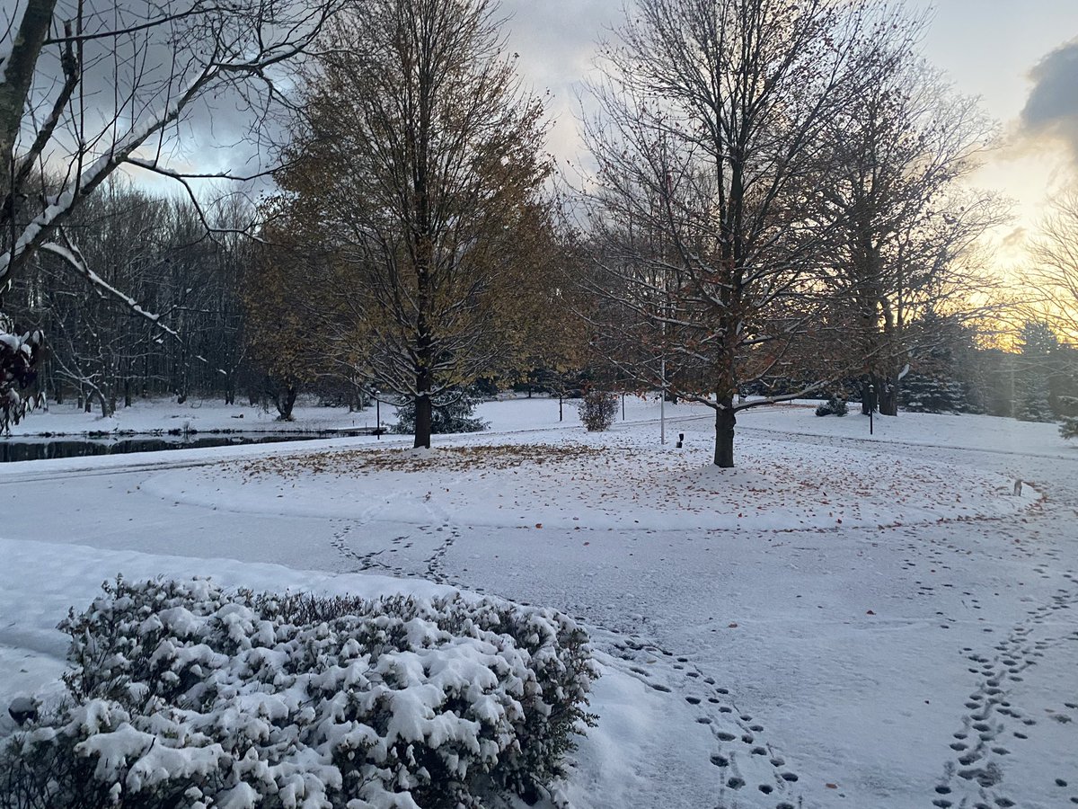 Mark Sanders tweet media