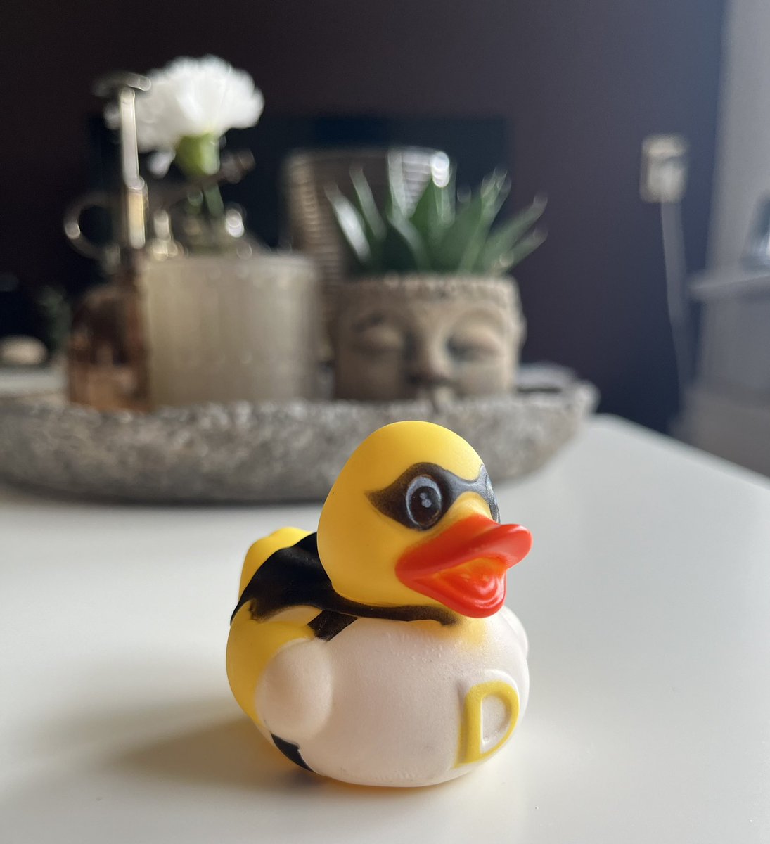 ziekenverzorger's tweet photo. Ik mag weer een eendje π₯ asiel verlenen op mijn badkamer π π met dank aan Stefanie! #badeend https://t.co/aTcGDCVwlk