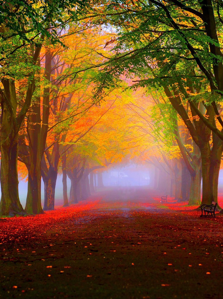 Tina Koskima 🕊️ tweet media