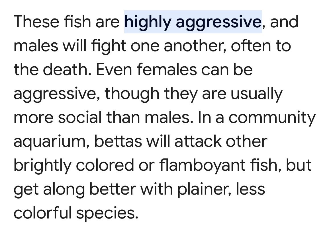 NastyaTykva's tweet photo. #HelluvaBoss #GlitzandGlam #HelluvaGlam 

These two really reminds me of fighting fish (bettas), also aggressive and also very beautiful.

They really need a plain girlfriend 💅 https://t.co/5U1MzFRREW